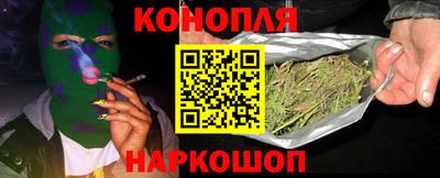Альфа ПВП Будённовск
