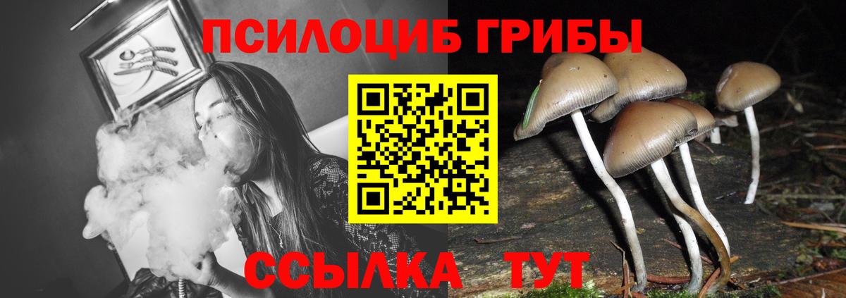 цены наркотик  Галлюциногенные грибы прущие грибы  Тосно  Вход с VPN  Галлюциногенные грибы Magic Shrooms 
