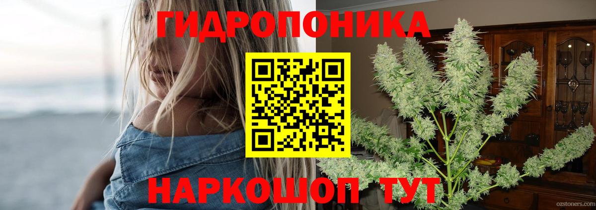 Бошки марихуана White Widow Тосно