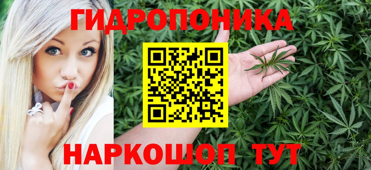 Конопля White Widow  Вход с VPN  Тосно  Бошки марихуана марихуана  Марихуана марихуана 